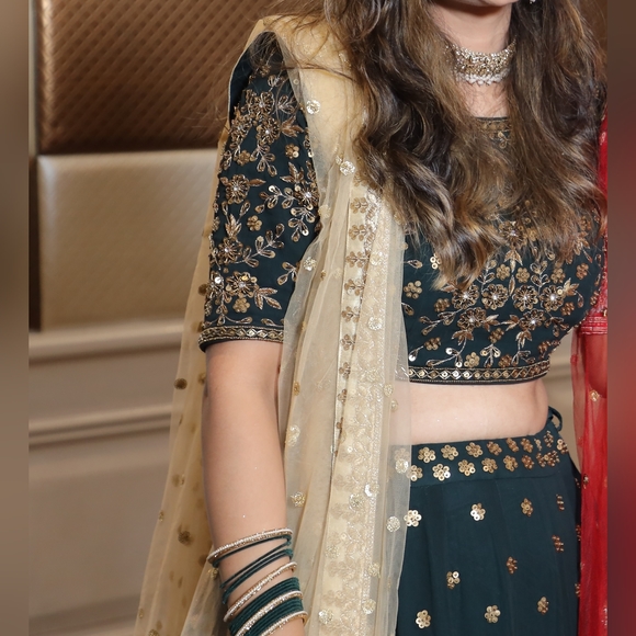 Indian ethnic lehenga - Picture 3 of 4